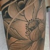 lotus sleeve