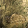 Hyena