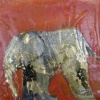 Baby Elephant