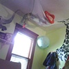 Little boy's room. 