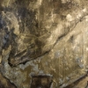 Topei Fight in Gold