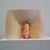 Replica Reuben (crotch section (anterior view))