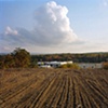 Tilled Soil