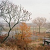 Parking Lot (Two Abandoned Trailers)