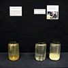 Artifacts of a Community: Greenville