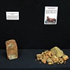 Artifacts of a Community: Greenville