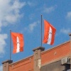 Orange-eyed friends flag installation, detail 