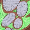 Stranger, detail