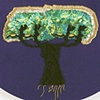 Papi Tree 