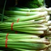 GREEN Onions