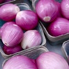 PURPLE Onions