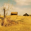 Rural