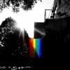 Everyday Pride 