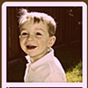 Henry | snap shots