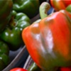 RED Pepper [multi]