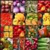 Farmers Market [16 shots]