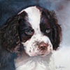 Molly's Puppy