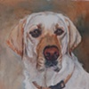Tucker