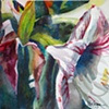 Amaryllis
