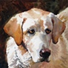 Wilk