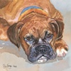 Baillie