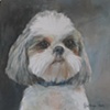 Murphy