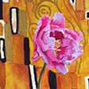 Peony on Klimt