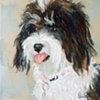 Neely (Edie's Dog)