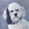 Woofy