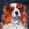 Nellie