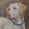 Colby
