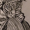 Tiger n waterfall...