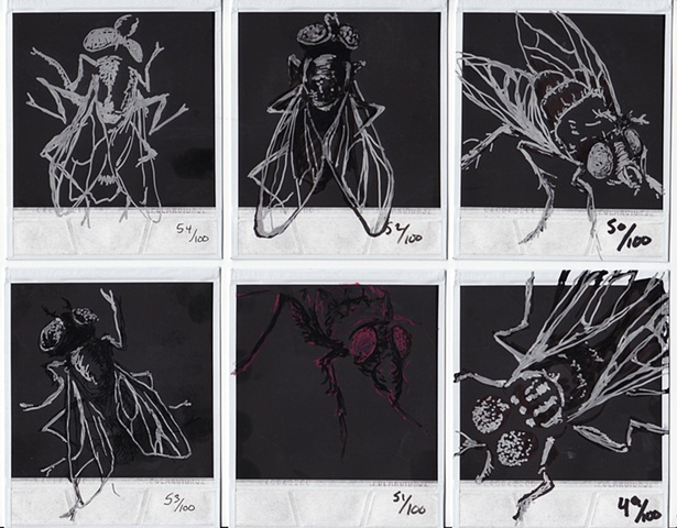 Drawings H�O�F -->  49-54