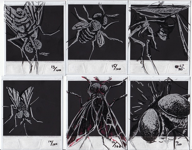 Drawings of H�O�F -->  13-18