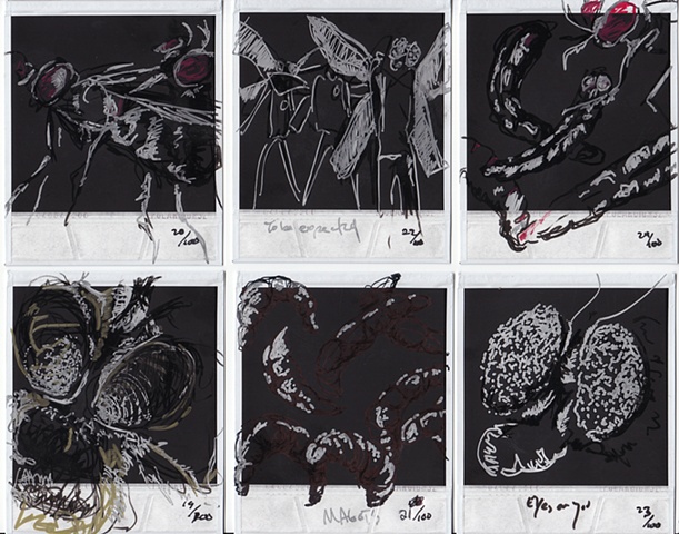 Drawings of H�O�F  -->  19-24