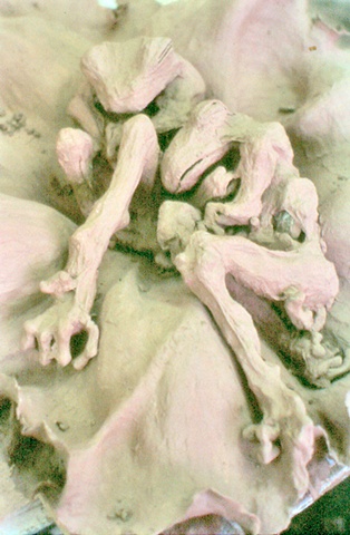 Molecular Destruction Installation / Collaboration