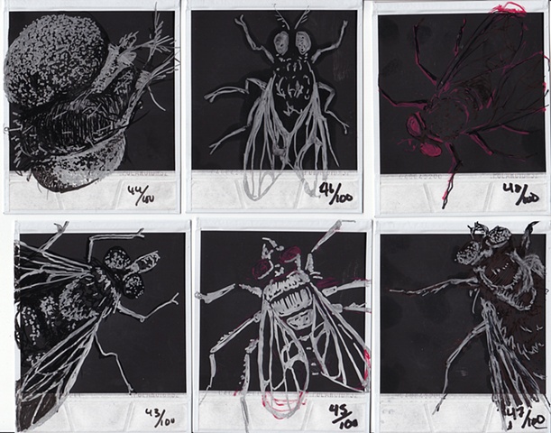 Drawings H�O�F --> 43-48