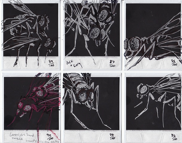 Drawing H�O�F -->  85-90