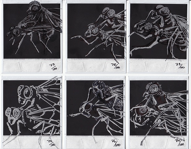 Drawings H�O�F --> 73-78