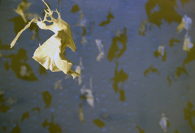 Falling Bird Installation