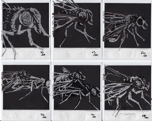 Drawings H�O�F -->  67 - 72