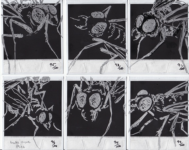Drawing H�O�F -->  91-96