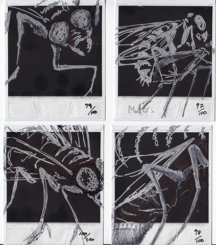 Drawings H�O�F -->  97-100