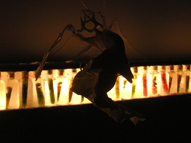 Falling Bird Installation - detail