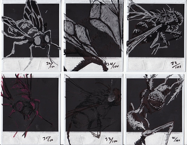 Drawings H�O�F -->31-36