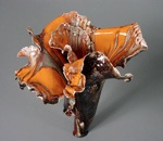 Orange Iris