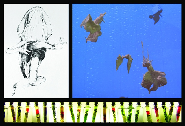 Postcard for my MFA art show opening.  