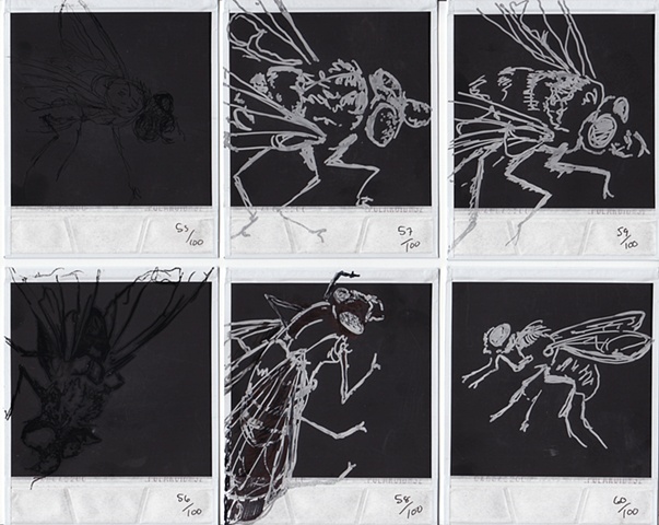 Drawings H�O�F -->  55-60