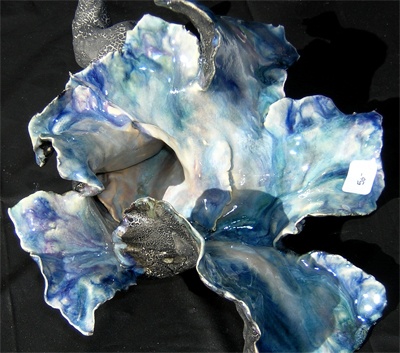 Morning Conch