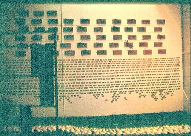 evolutionary history wall